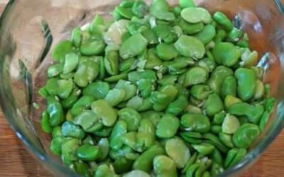 Insalata di fave fresche con feta e pomodorini