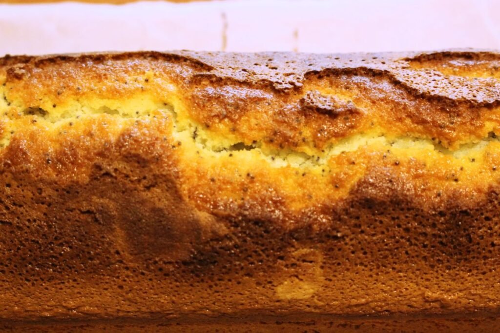 Plumcake al limone e semi di papavero senza glutine appena sfornato 