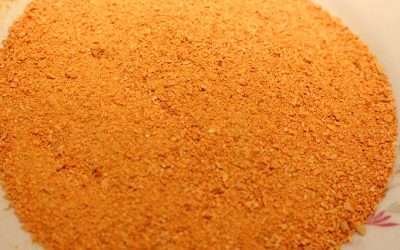 Farina di zucca fatta in casa da usare in mille ricette