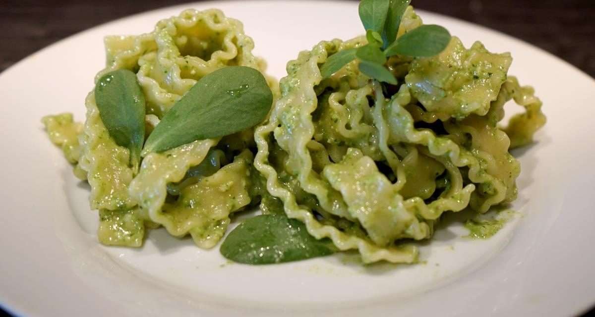 Pasta con pesto di portulaca, l’erba spontanea come ingrediente gourmet