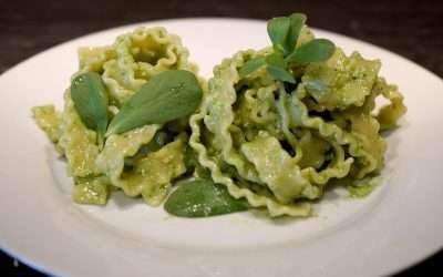 Pasta con pesto di portulaca, l’erba spontanea come ingrediente gourmet