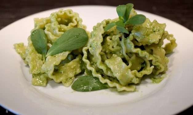 Pasta con pesto di portulaca, l’erba spontanea come ingrediente gourmet