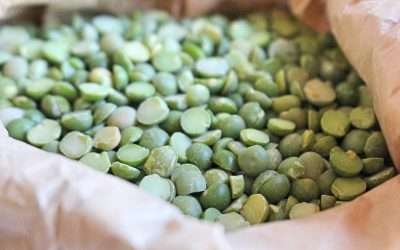 Farina di piselli fatta in casa, consigli e suggerimenti per come utilizzarla in cucina