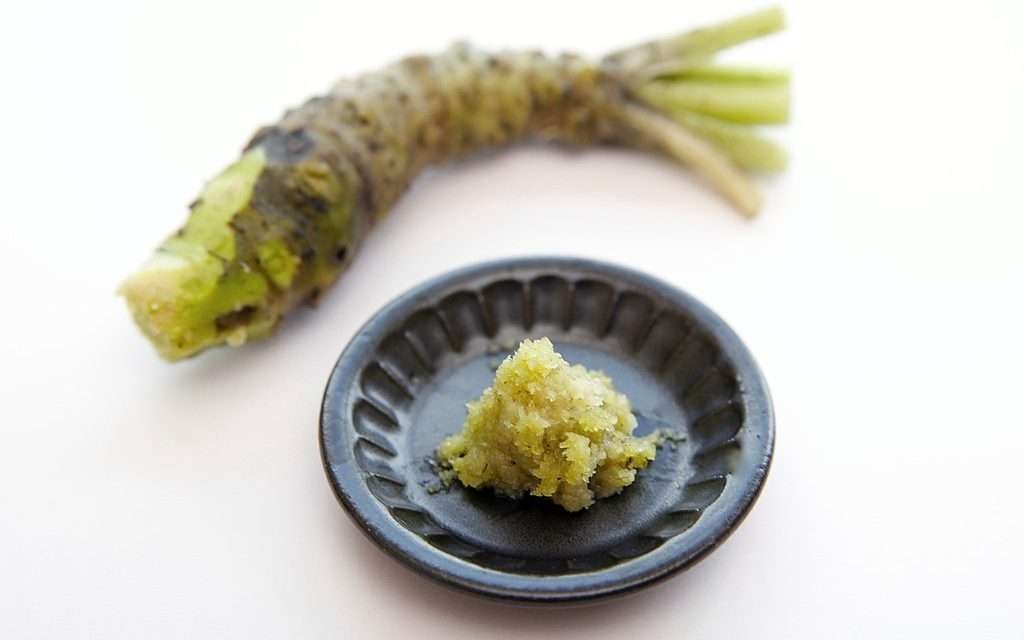 Wasabi: cos’è e come si prepara la nota piccante della cucina orientale